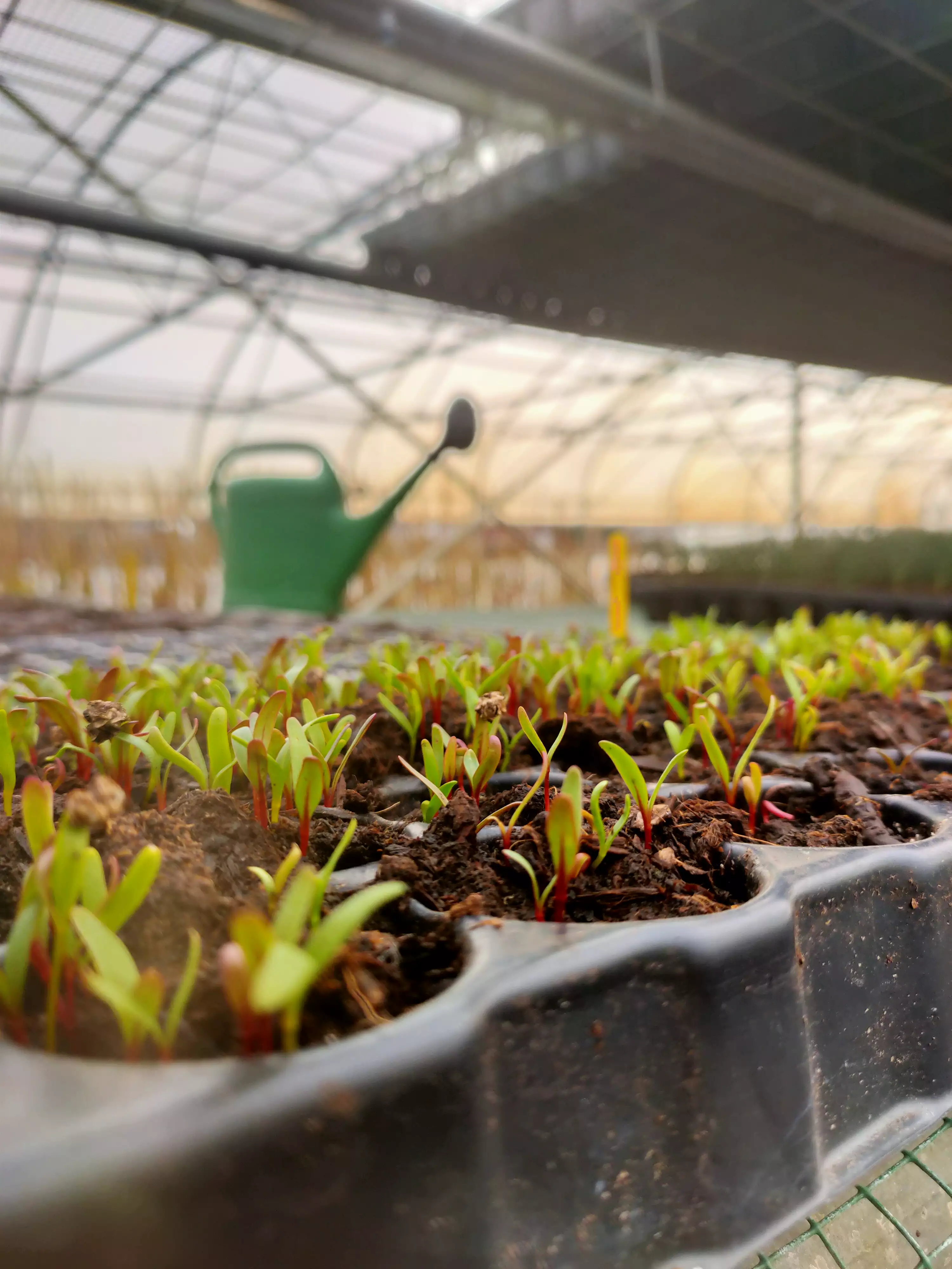 Conversation of the day